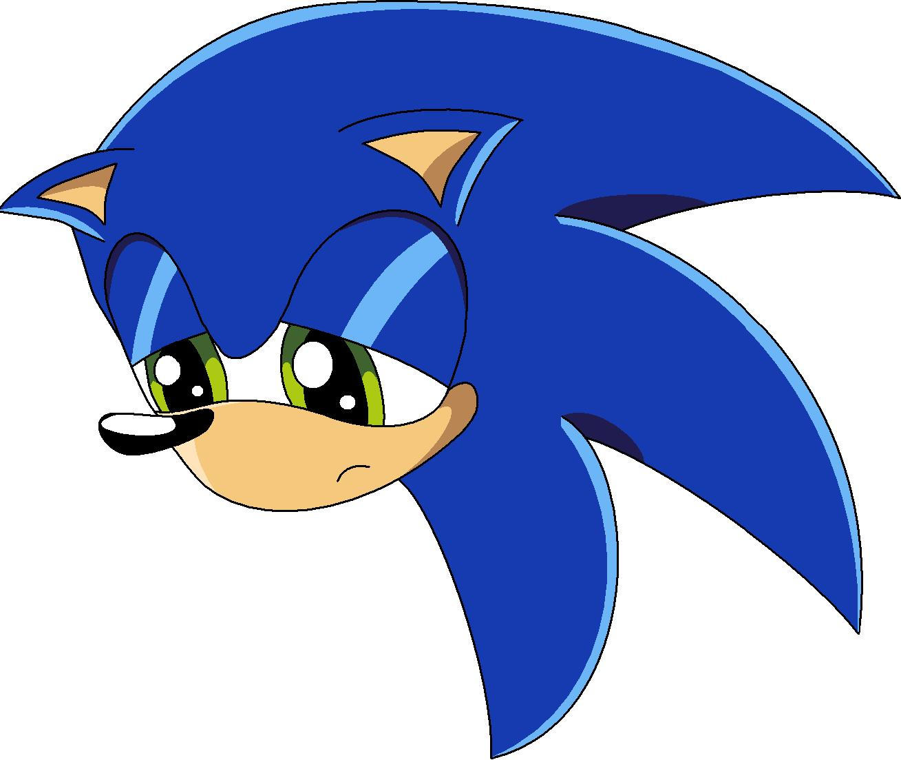 Сонник лицо бывшего. Соник Икс Николь. Грустный Соник. Соник плачет. Sonic грустный.