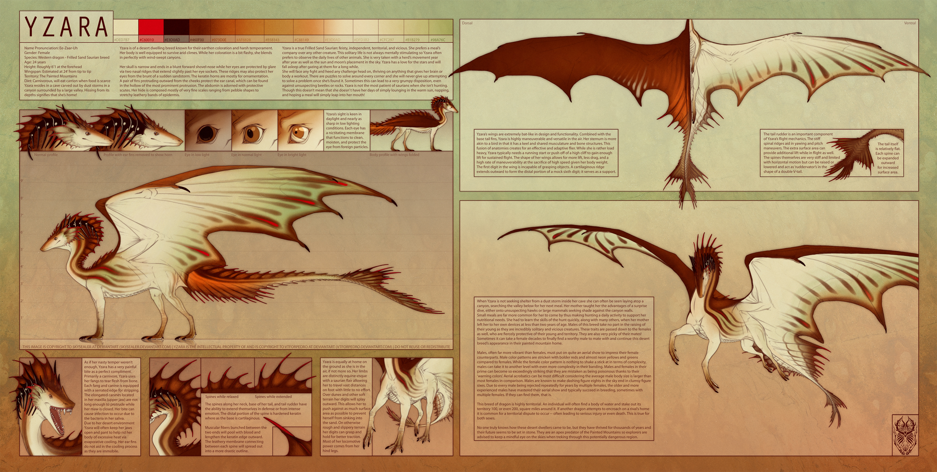 Yzara Reference Sheet