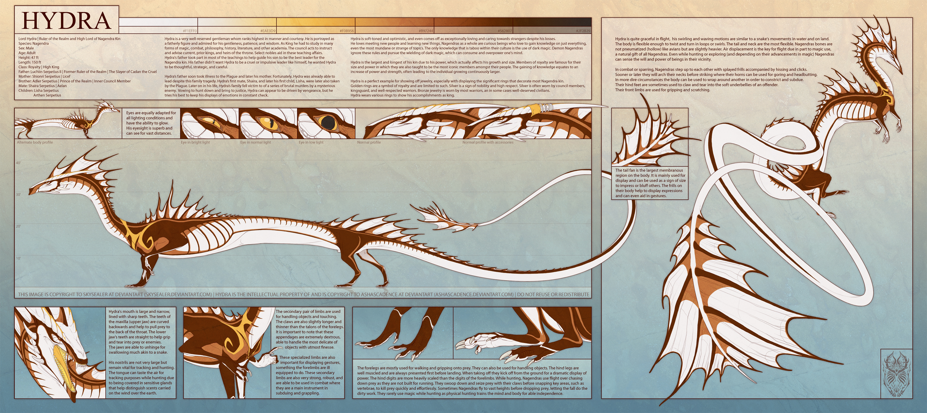 Shard Reference Sheet 2019 by Tank-Dragon on DeviantArt