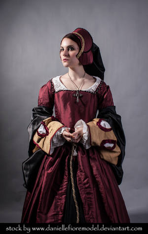 Tudor Stock 5 by DanielleFiore Tudor Stock 5 by DanielleFiore