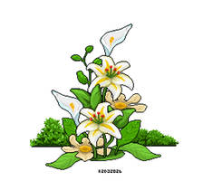 Botanical