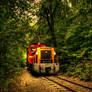 forest train