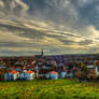 autumn landscape Regensburg