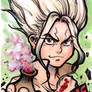 DR STONE