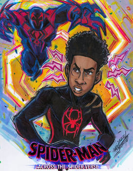 Across the spiderverse 