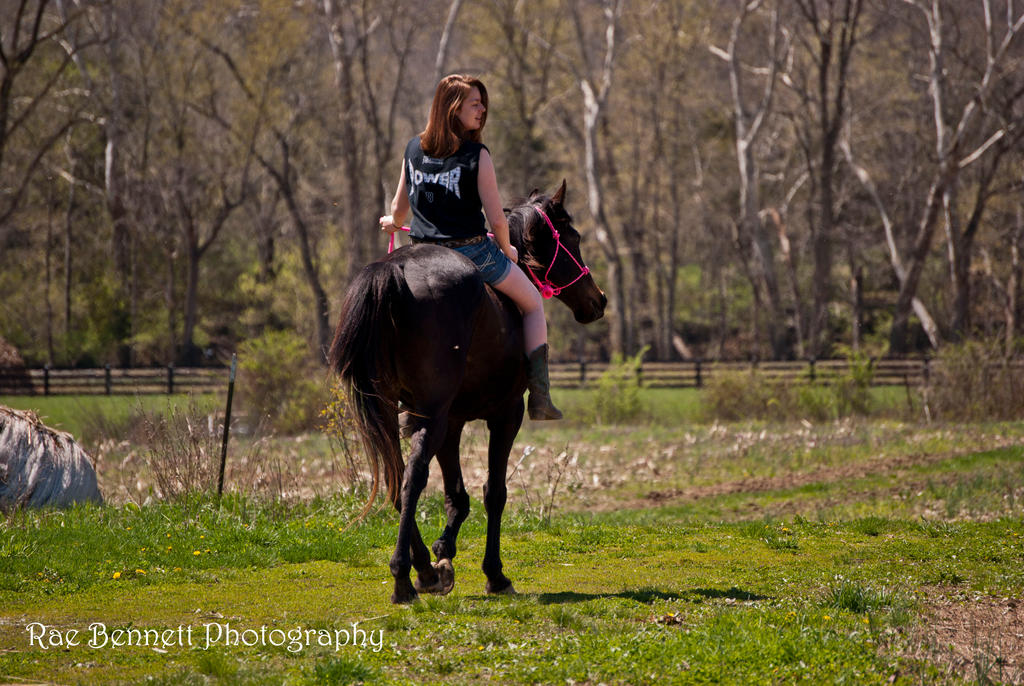 Western Riding Relay Riding Relay by LunaRaeB on DeviantArt