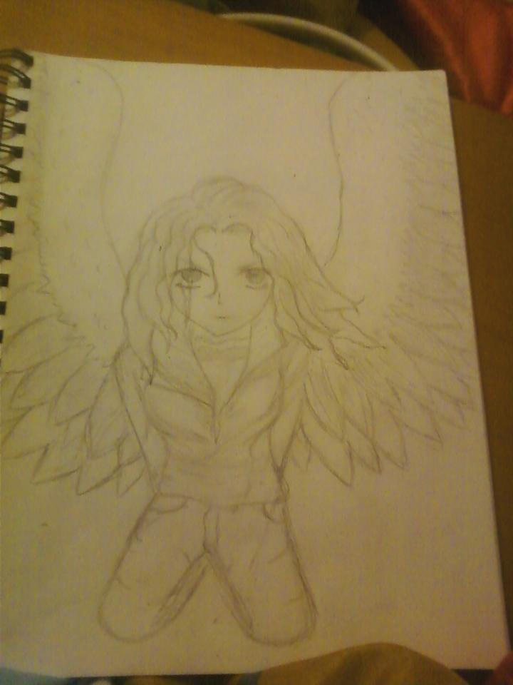 maximum ride by erzaoffairytail on DeviantArt