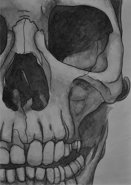 Skull