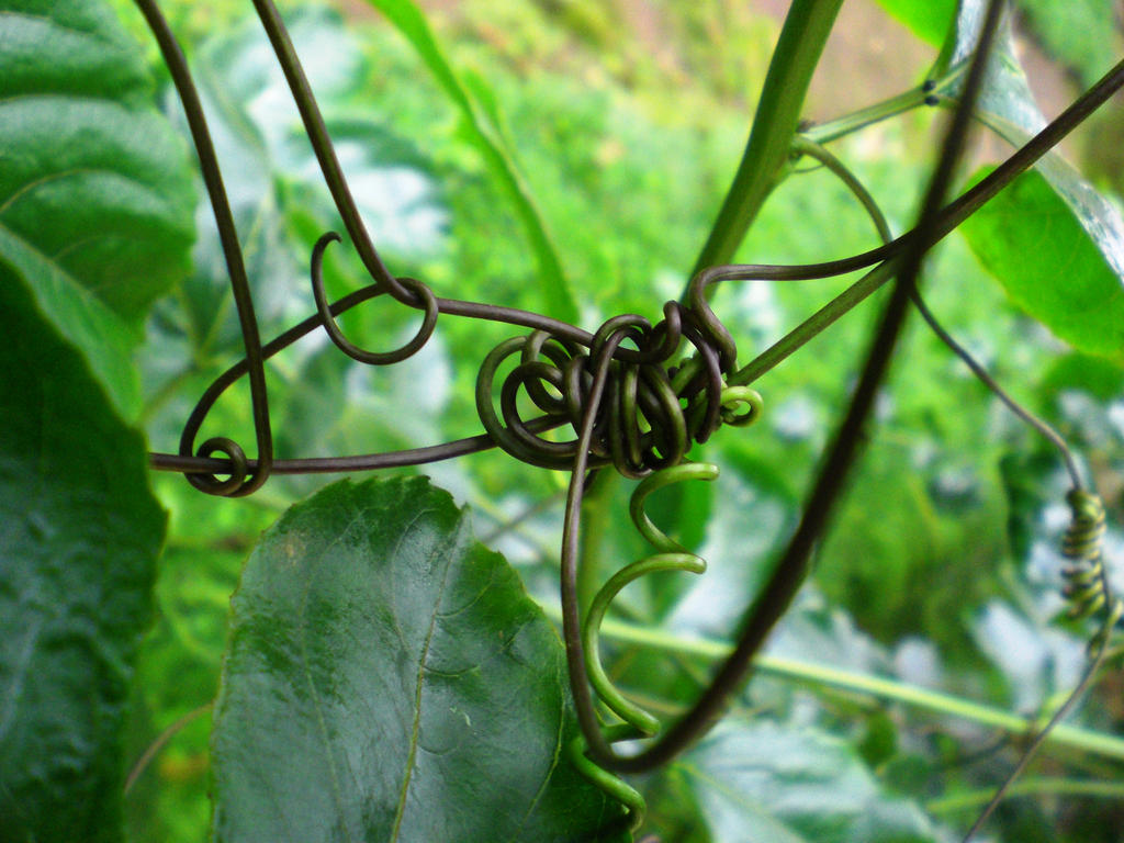 Tendrils (5) by MkE7 on DeviantArt