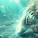 Underwater Tiger Tag