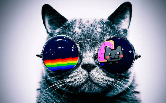 Nyan Cat, Cat.