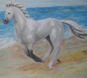 Horse on beach