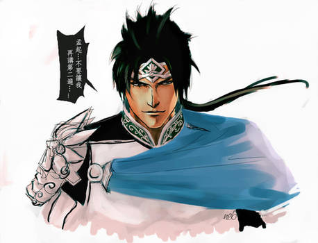 Zhao Yun 03