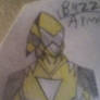 Buzz-Bee Armor Close Up