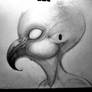 Bird man