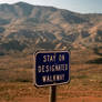 The walkway to the desert