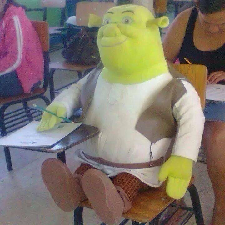 Shrek's school years