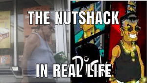 the nutshack in real life