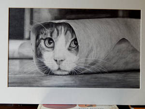 Hyperrealism Silly sausage!