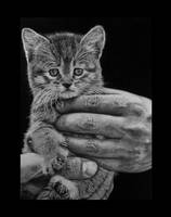 Hyperrealism. Big paws little paws