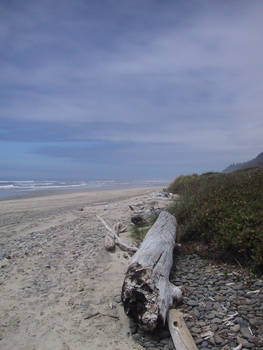 Cliche' wood stump on the beach