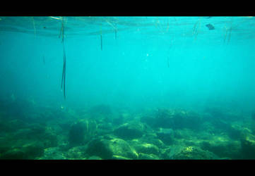 Underwater Greece IV