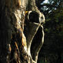 The Screaming Tree