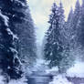 Mountain Stream