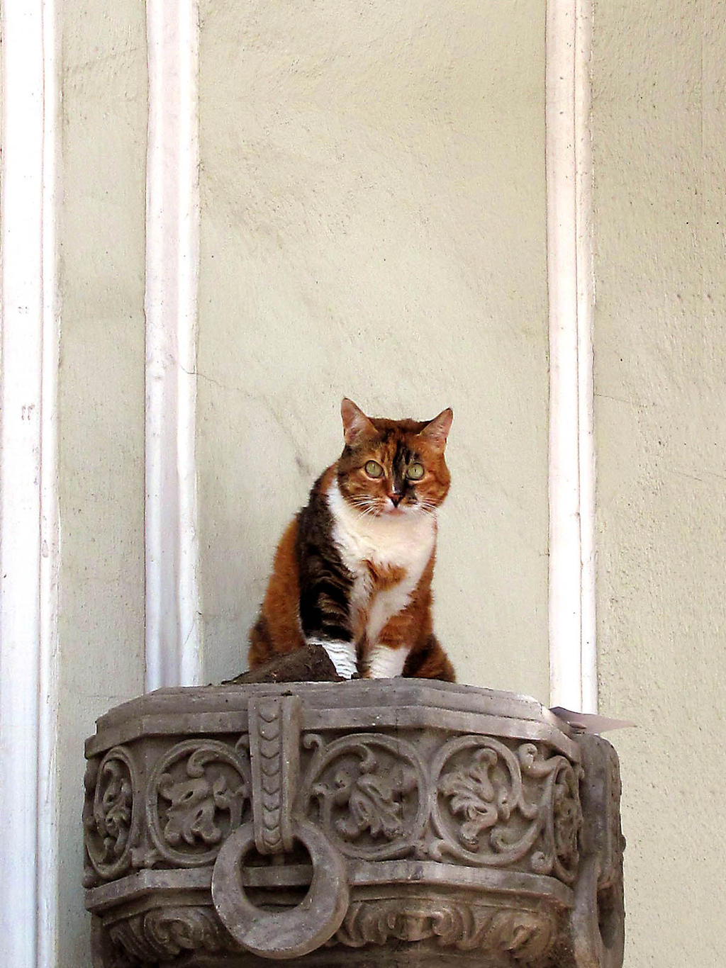 Pedestal