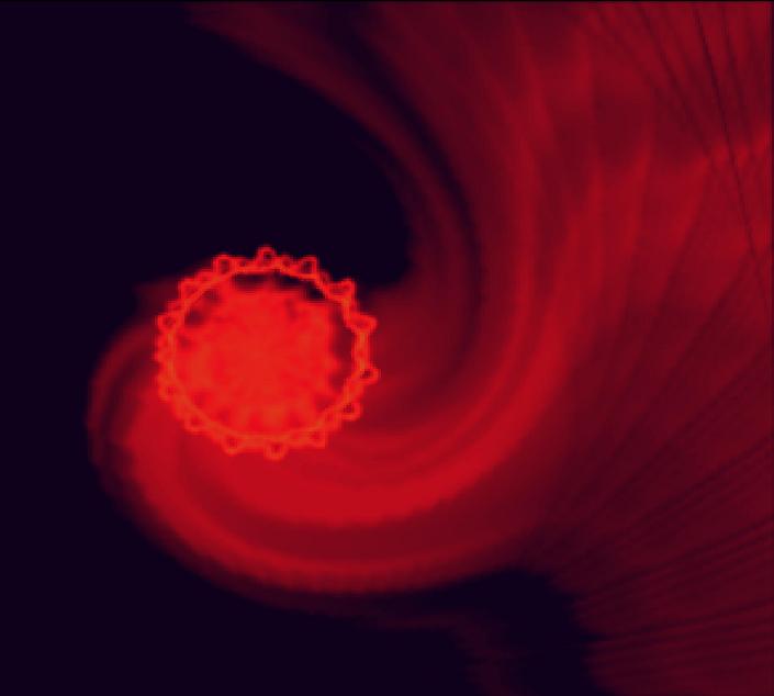 Sea Lion eating a jellyfish