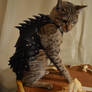 Cat Battle Armor 3