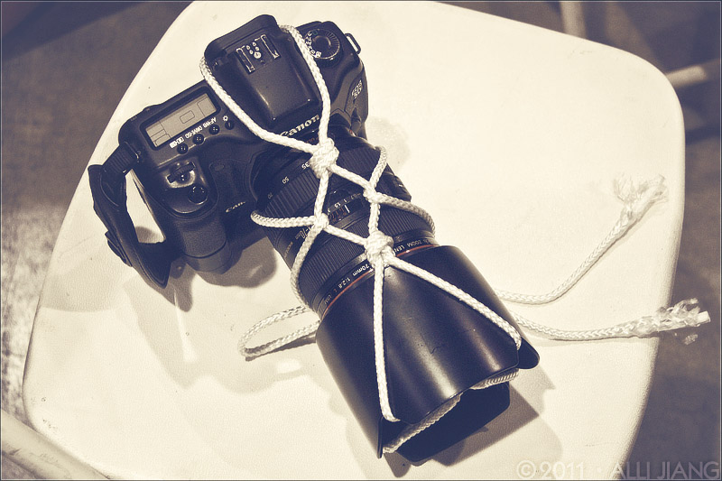 canon shibari.