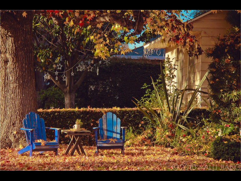 a pair of blue chairs.