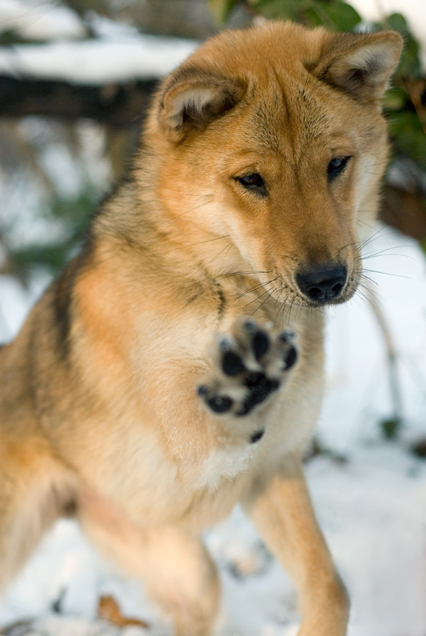 Give me that treat