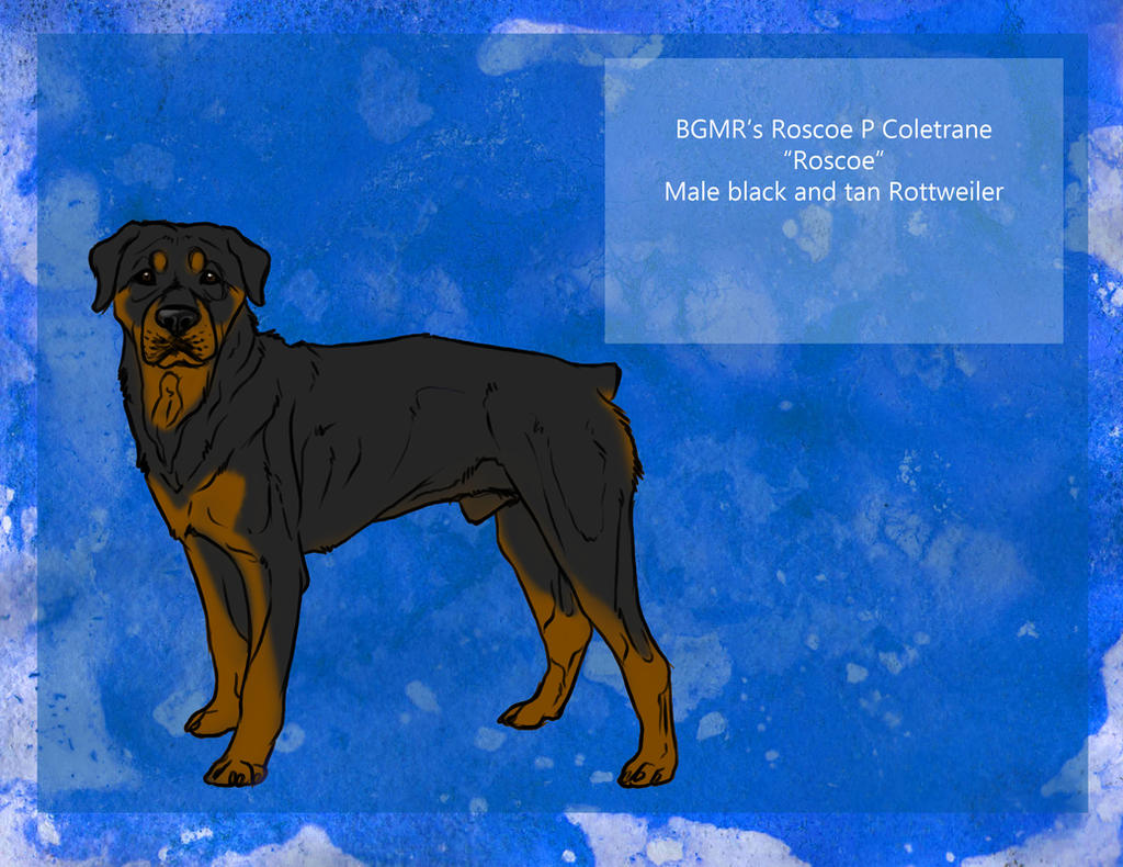 BGMR's Roscoe P Coltrane