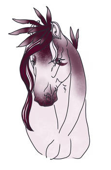 Camellia headshot