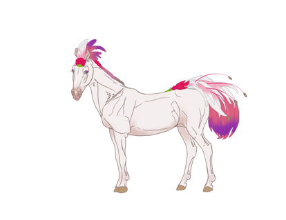 Fuchsia