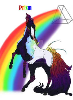 Prism Reference