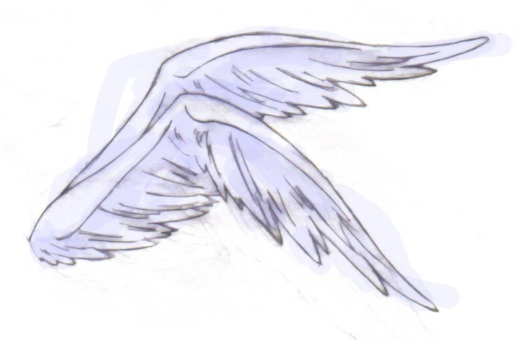 Wings