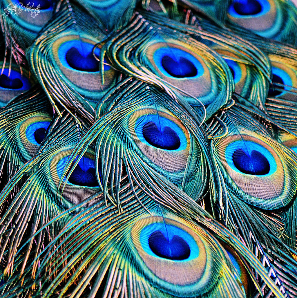 Dance with all your Beauty