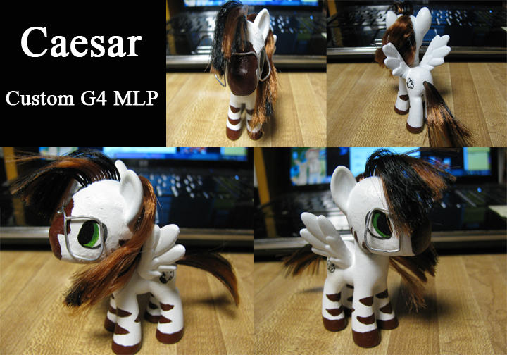Caesar Custom Caesar Custom by Melon-y on DeviantArt