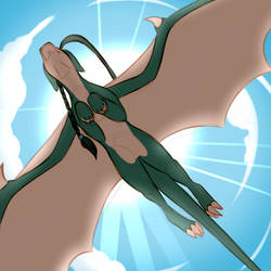 Fly Jasmine