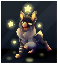 Birthday Gift - The Stars in your Eyes