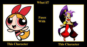 Blossom Fuses With Shantae