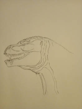 Karamiti Gojira's head design