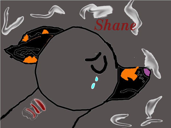 Shane Vector Shane(Original) by Talathewolf1 on DeviantArt