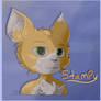 Stampy Cat