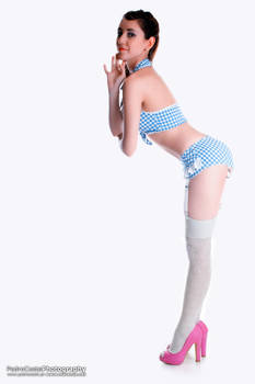 Pin Up 1