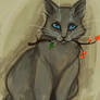 Cinderpelt