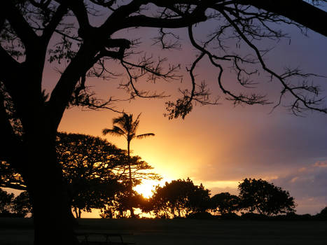 A Rainbow Sunset